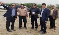 Senior Housing and Property Official Inspects 303-Hectare Land in Gonbad-e Kavus