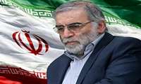پیام تسلیت مدیر عامل سازمان ملی زمین و مسکن به مناسبت ترور شهید دکتر محسن فخری زاده