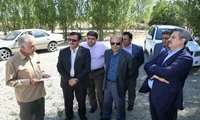 سود اصلی سازمان ملی زمین و مسکن در خانه دار شدن مردم است